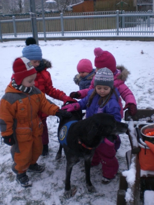 Ramses im Schnee (34)  